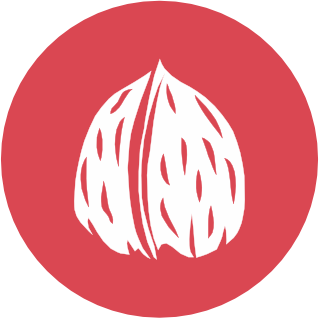 Noci