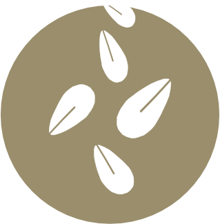 Semi di sesamo