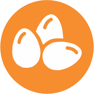 Uova