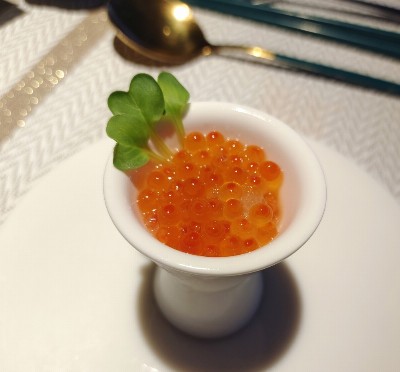 059 IKURA GUSTO SPECIALE