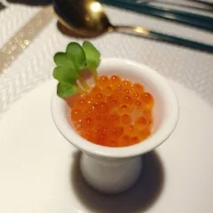 059 IKURA GUSTO SPECIALE