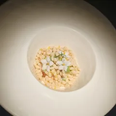 133 TARTARE PIN